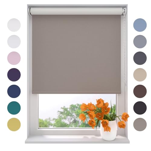 Radeco® Verdunkelungsrollo 100 x 190 cm Zement, Größen von 40 bis 240 Breite, ohne Bohren möglich, Rollo wandmontage, Rollo 100 cm breit, Fenster rollos für innen, rollos für Fenster von RADECO