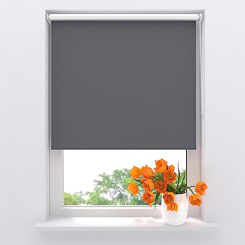 Rollo Pure Mini Thermo - Verdunkelnd - Grau - 60 x 150 cm - Klemmfix ohne Bohren von Raamdecoratie.com