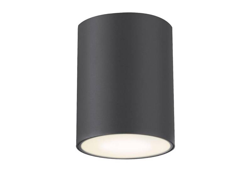 Rabalux Außen-Deckenleuchte 7819, ohne Leuchtmittel, ZOMBOR Outdoor-Spot-Tuben-Deckenleuchte von Rabalux