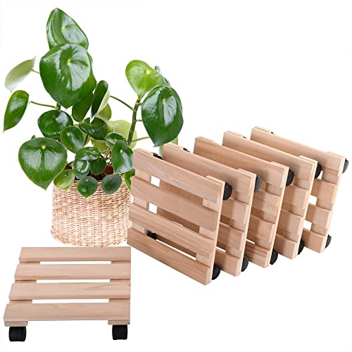 Raburg 6er Set Pflanzenroller BENJO, Buchenholz massiv, eckig, 30 x 30 cm, Tragfähigkeit 120 kg, stabile & praktische Rolluntersetzer für Pflanzen, Kübel & Blumentöpfe, 4 x 360° Doppel-Rollen von Raburg