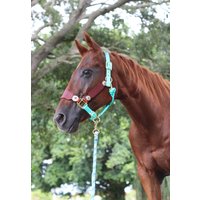 Hand Punzierte Leder Pferdehalfter Mit Custom Conchos von RachelFailCustomTack