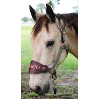 Benutzerdefinierte Nylon Bronc Halfter - Stärker Als Tab Style von RachelFailCustomTack
