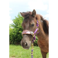 Custom Punziertes Leder Bronc Reithalfter Pferde Oder Pony Halfter von RachelFailCustomTack
