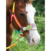 Hand Punziertes Leder Bronc Nasenbandhalfter Regenbogen Blumen Design von RachelFailCustomTack