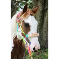 Rainbow Skinny Bronc Halfter Und Leine - Regenbogen Stickerei & Beschriftung von RachelFailCustomTack