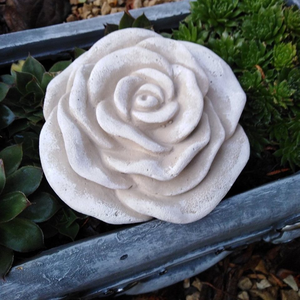 Radami Gartenfigur Steinrose Stein Rose Rosenblüte Blüte Blumen Steinguss frostfest wette Radami Gartenfigur Steinrose Stein Rose Rosenblüte Blüte Blumen Steinguss frostfest wette von Radami