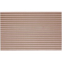 Rademacher WR-Typ 711 Platine Hartpapier (L x B) 160 mm x 100 mm 35 µm Rastermaß 5.08 mm Inhalt 1 S von Rademacher