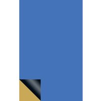 Vk C-510-1 Basismaterial einseitig 35 µm Fotobeschichtung positiv (l x b) 100 mm x 50 mm - Rademacher von Rademacher