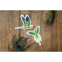 2Er Set Papageien Kühlschrankmagnet | Papagei Radhe Gendron Kunst Kostenloser Versand 2Er Set Papageien Kühlschrankmagnet | Papagei Radhe Gendron Kunst Kostenloser Versand von RadheGendron