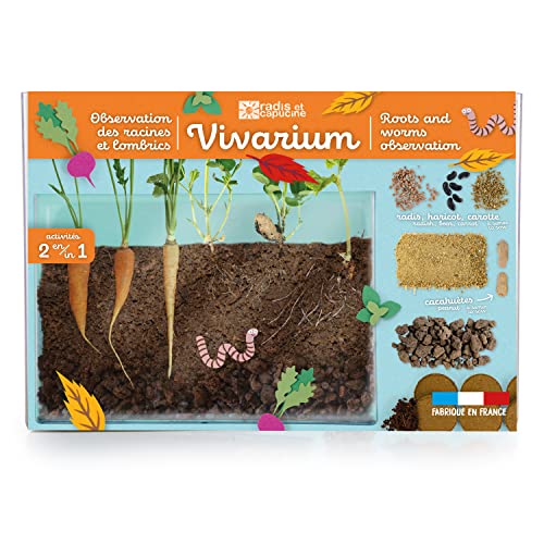 Radis et Capucine - Vivarium - Beobachtung von Wurzeln und Regenwürmern von Radis et Capucine