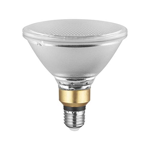 LED Retrofit Lampe LED Essence PAR38 E27 RL-PAR38 120 827/SP/E27, 12,5W von RADIUM