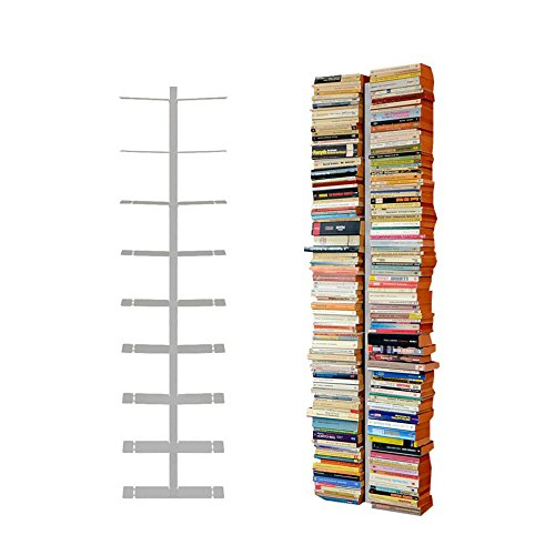 Radius 2-reihig Silber Wand Bücherregal Gross Booksbaum 1 von Radius