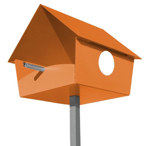 Radius Vogelhaus Piep Show XXL Orange - 529 C von Radius