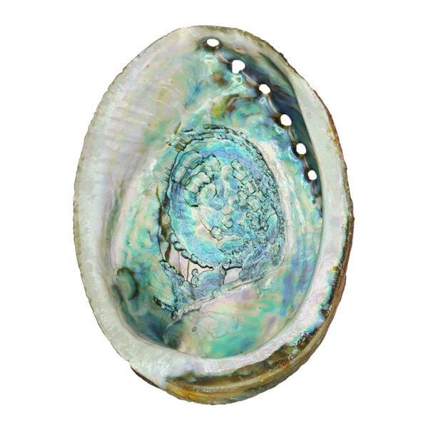 Räucherzeit Abalone Smudge Schale zum Räuchern von Räucherzeit