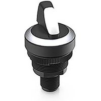 RAFI 1.10.021.002/0020 RAMO 22 Schlüsselschalter 32V 0.1A 2 x 40° RAFI 1.10.021.002/0020 RAMO 22 Schlüsselschalter 32V 0.1A 2 x 40° von Rafi