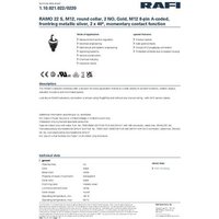 RAFI 1.10.021.022/0220 RAMO 22 Schlüsselschalter 32V 0.1A tastend (L x B x H) 29.8 x 29.8 x 53.9mm von Rafi