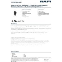 RAFI 1.10.051.002/0001 RAMO 22 Schlüsselschalter 32V 0.1A tastend (L x B x H) 29.8 x 29.8 x 75.1mm von Rafi
