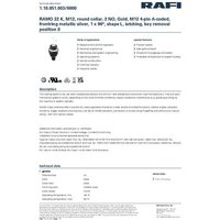 RAFI 1.10.051.003/0000 RAMO 22 K Schlüsselschalter 32V 0.1A 1 x 90° von Rafi