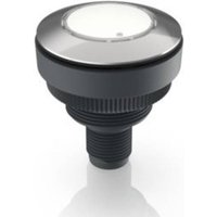 RAFI 1.11.011.201/0200 RAMO 30 Drucktaster 35V 0.1A tastend (L x B x H) 34.5 x 34.5 x 40mm 1St. von Rafi