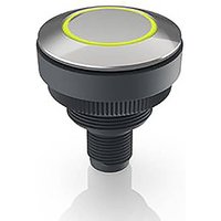 RAFI 1.11.011.801/0400 1.11.011.801/0400 Leuchtdrucktaster 35V 0.1A tastend (L x B x H) 34.5 x 34.5 von Rafi