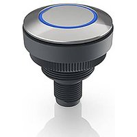 RAFI 1.11.011.801/0600 1.11.011.801/0600 Leuchtdrucktaster 35V 0.1A tastend (L x B x H) 34.5 x 34.5 von Rafi