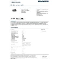 RAFI 1.12.000.501/0000 KN 19 Drucktaster 250V 6A rastend (L x B x H) 37.8 x 18.8 x 9.7mm 1St. von Rafi