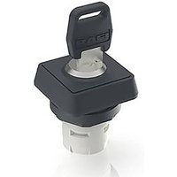 RAFI 1.30.076.301/0000 RAFIX 16 Schlüsselschalter 2 x 90° RAFI 1.30.076.301/0000 RAFIX 16 Schlüsselschalter 2 x 90° von Rafi