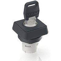 RAFI 1.30.076.701/0000 RAFIX 16 Schlüsselschalter 2 x 40° RAFI 1.30.076.701/0000 RAFIX 16 Schlüsselschalter 2 x 40° von Rafi