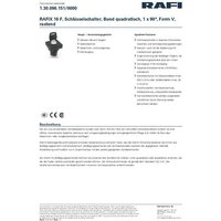 RAFI 1.30.096.151/0000 RAFIX 16 F Schlüsselschalter 1 x 90° RAFI 1.30.096.151/0000 RAFIX 16 F Schlüsselschalter 1 x 90° von Rafi