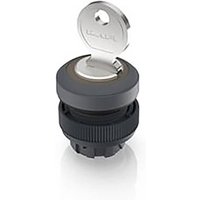 RAFI 1.30.245.001/0700 RAFIX 22 QR Schlüsselschalter 1 x 40° RAFI 1.30.245.001/0700 RAFIX 22 QR Schlüsselschalter 1 x 40° von Rafi