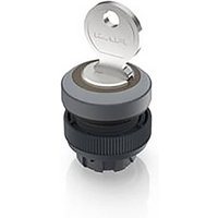 RAFI 1.30.245.001/0800 RAFIX 22 QR Schlüsselschalter 1 x 40° RAFI 1.30.245.001/0800 RAFIX 22 QR Schlüsselschalter 1 x 40° von Rafi