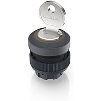 RAFI 1.30.245.003/0100 RAFIX 22 QR Schlüsselschalter 1 x 40° RAFI 1.30.245.003/0100 RAFIX 22 QR Schlüsselschalter 1 x 40° von Rafi