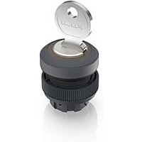 RAFI 1.30.245.003/0700 RAFIX 22 QR Schlüsselschalter 1 x 40° RAFI 1.30.245.003/0700 RAFIX 22 QR Schlüsselschalter 1 x 40° von Rafi