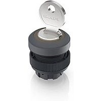 RAFI 1.30.245.201/0700 RAFIX 22 QR Schlüsselschalter 1 x 90° von Rafi