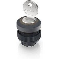 RAFI 1.30.245.203/0100 RAFIX 22 QR Schlüsselschalter 1 x 90° RAFI 1.30.245.203/0100 RAFIX 22 QR Schlüsselschalter 1 x 90° von Rafi