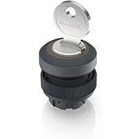 RAFI 1.30.245.221/0100 RAFIX 22 QR Schlüsselschalter 1 x 90° RAFI 1.30.245.221/0100 RAFIX 22 QR Schlüsselschalter 1 x 90° von Rafi