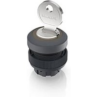 RAFI 1.30.245.321/0700 RAFIX 22 QR Schlüsselschalter 1 x 90° RAFI 1.30.245.321/0700 RAFIX 22 QR Schlüsselschalter 1 x 90° von Rafi