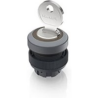 RAFI 1.30.245.321/0800 RAFIX 22 QR Schlüsselschalter 1 x 90° RAFI 1.30.245.321/0800 RAFIX 22 QR Schlüsselschalter 1 x 90° von Rafi