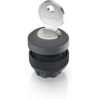 RAFI 1.30.245.323/0700 RAFIX 22 QR Schlüsselschalter 1 x 90° RAFI 1.30.245.323/0700 RAFIX 22 QR Schlüsselschalter 1 x 90° von Rafi