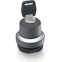 RAFI 1.30.255.502/0000 RAFIX 22 FS Schlüsselschalter 1 x 90°/40° RAFI 1.30.255.502/0000 RAFIX 22 FS Schlüsselschalter 1 x 90°/40° von Rafi