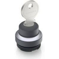 RAFI 1.30.275.102/0000 RAFIX 22 FS+ Schlüsselschalter 2 x 40° 1St. RAFI 1.30.275.102/0000 RAFIX 22 FS+ Schlüsselschalter 2 x 40° 1St. von Rafi