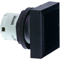 RAFI 5.05.800.063/0000 Blindverschluss (L x B) 25mm x 25mm Schwarz 20St. von Rafi