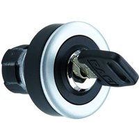 RAFI 1.30.096.071/0000 RAFIX 16 F 1.30.096.071/0000 Schlüsselschalter Metall 1 x 90° 10St. RAFI 1.30.096.071/0000 RAFIX 16 F 1.30.096.071/0000 Schlüsselschalter Metall 1 x 90° 10St. von Rafi