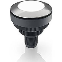 RAFI RAMO 30 Meldeleuchte Weiß RAFI RAMO 30 Meldeleuchte Weiß von Rafi