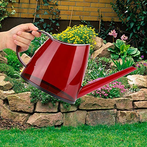 Gießkanne Transparente Langauslauf Modische Gießkanne für Haus Bonsai(red) von Raguso