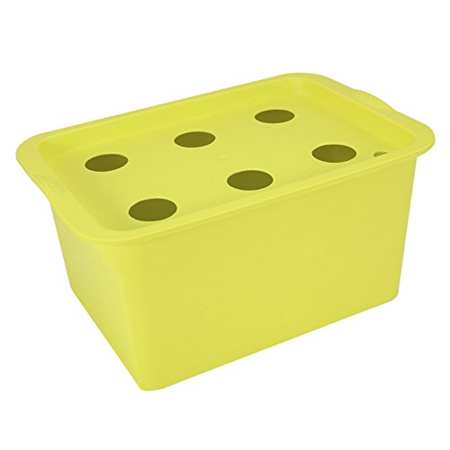 6 Löcher Plant Site Container Hydroponic System Grow Kit Blase Indoor Outdoor Gartenschrank Box Garten Pflanzgefäße Kinderzimmer Töpfe(Grün) von Raguso
