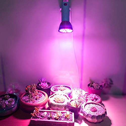 Raguso Pflanzenlicht wachsen Licht wachsende Lampe E27 LED-Zwiebel Pflanze wachsen Zwiebel für Blume für DIY Hydroponik Pflanze von Raguso