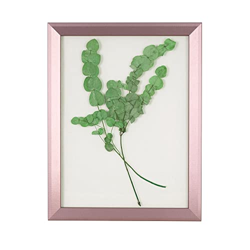 Rahmendesign24 Bilderrahmen Doppelglasrahmen Rio 21x29,7 (DIN A4) Roségold Fotorahmen, Wechselrahmen, Doppelglas von Rahmendesign24
