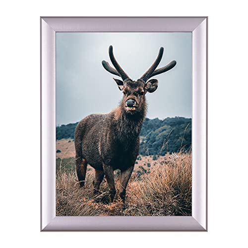 Rahmendesign24 Posterrahmen Fiona 30x40 Alu geschliffen Fotorahmen, Wechselrahmen, Bilderrahmen von Rahmendesign24