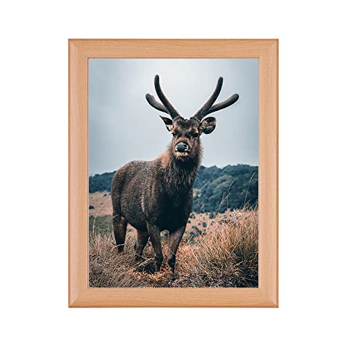 Rahmendesign24 Posterrahmen Fiona 40x50 Buche Fotorahmen, Wechselrahmen, Bilderrahmen Rahmendesign24 Posterrahmen Fiona 40x50 Buche Fotorahmen, Wechselrahmen, Bilderrahmen von Rahmendesign24